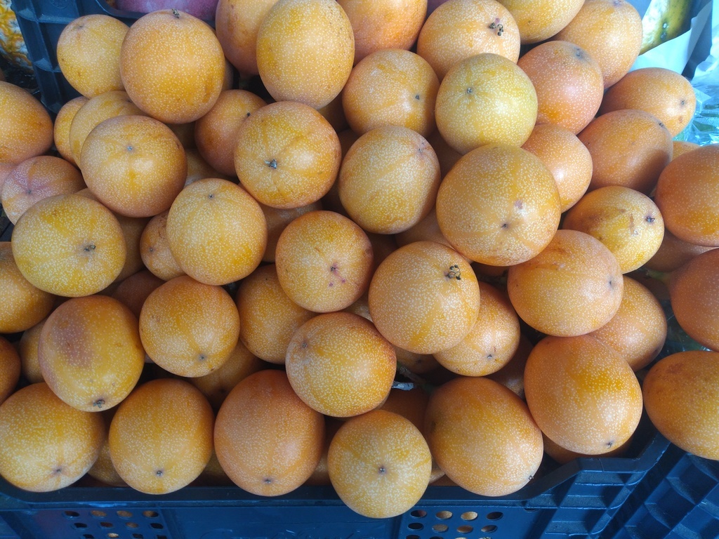 Granadilla