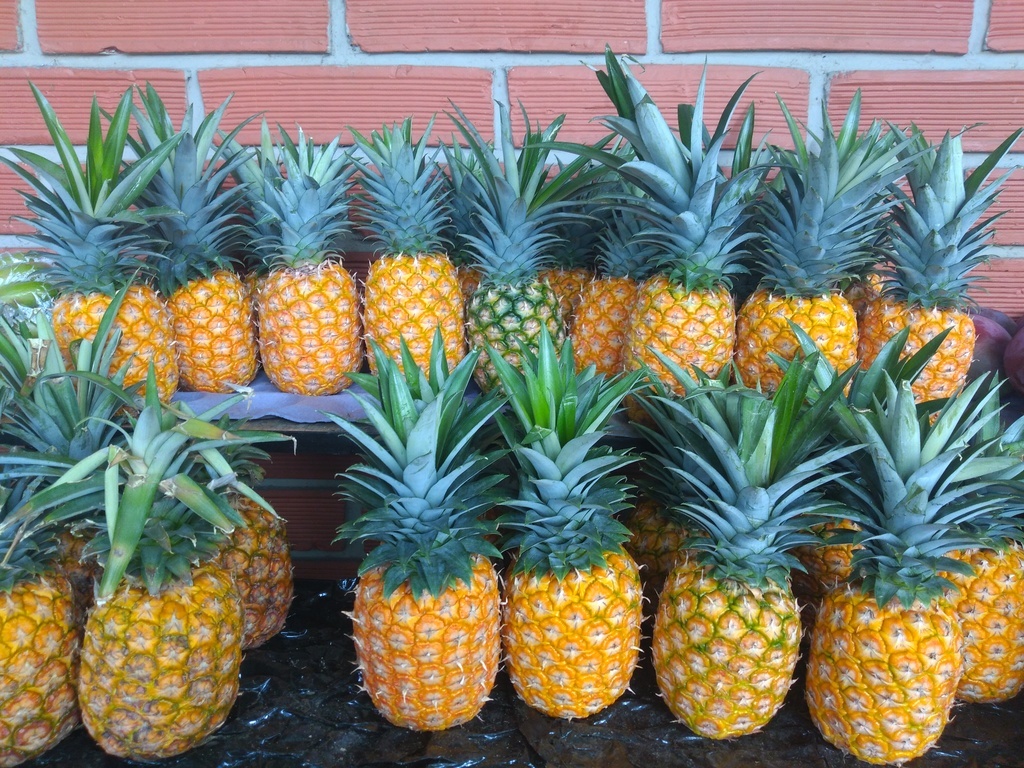 Piña oromiel