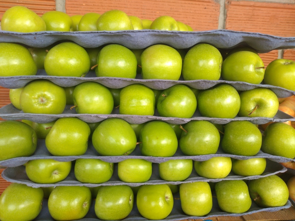 Manzana verde