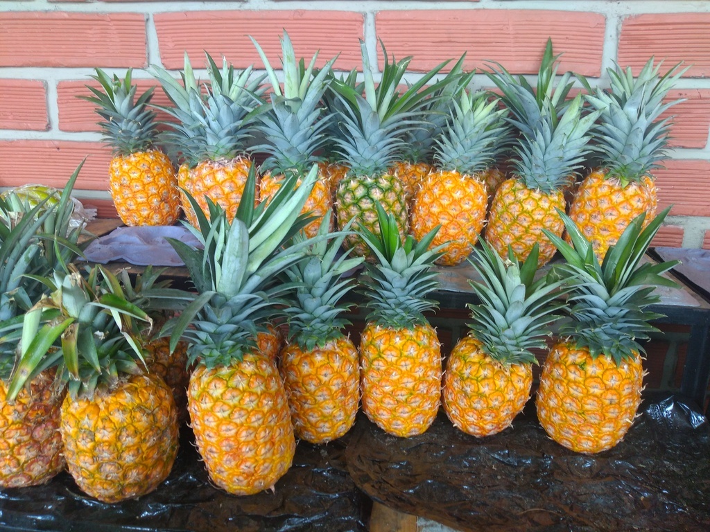 Piña oromiel