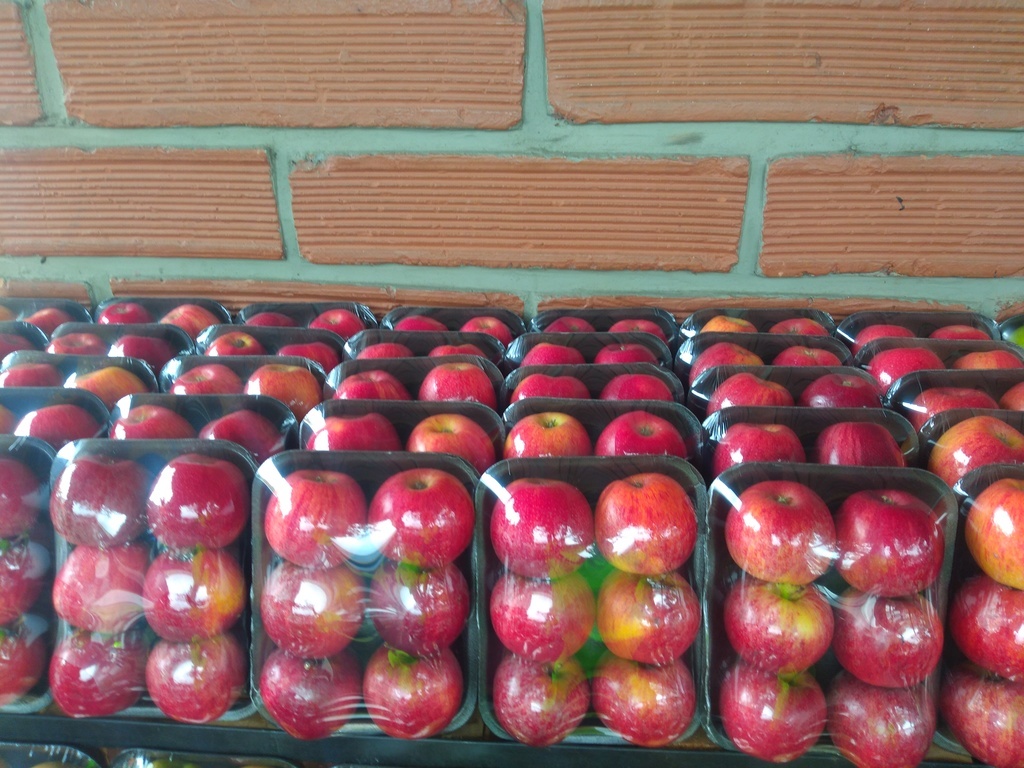 Manzana gala bandeja