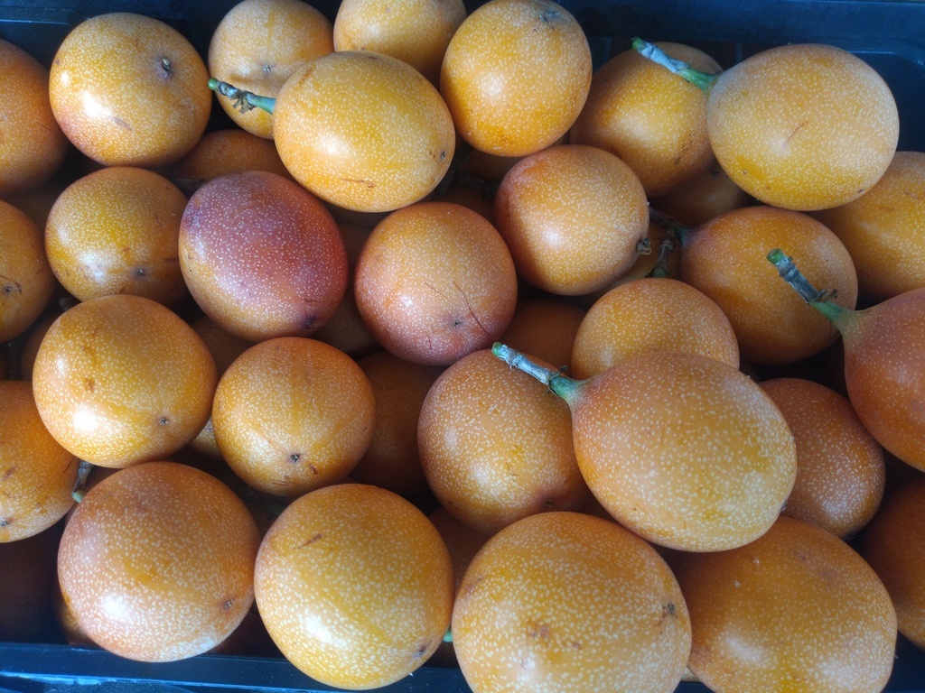 Granadilla