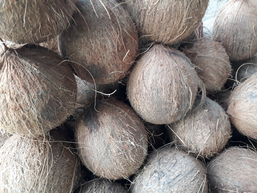 Coco