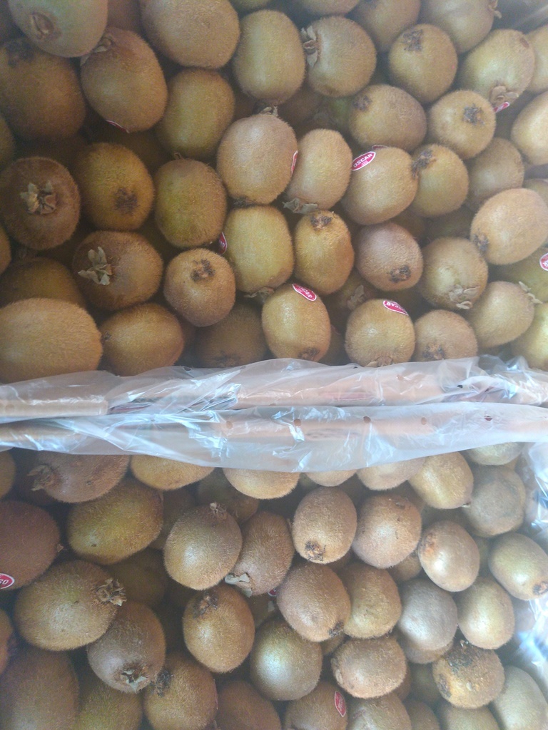 Kiwi