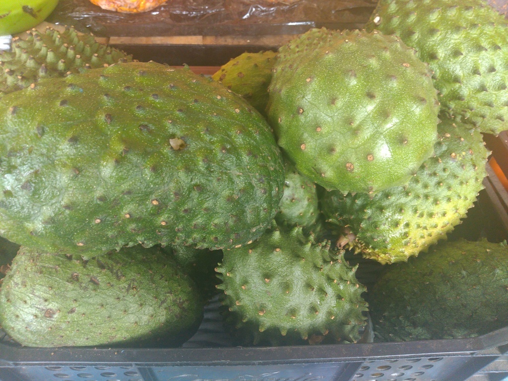 Guanábana