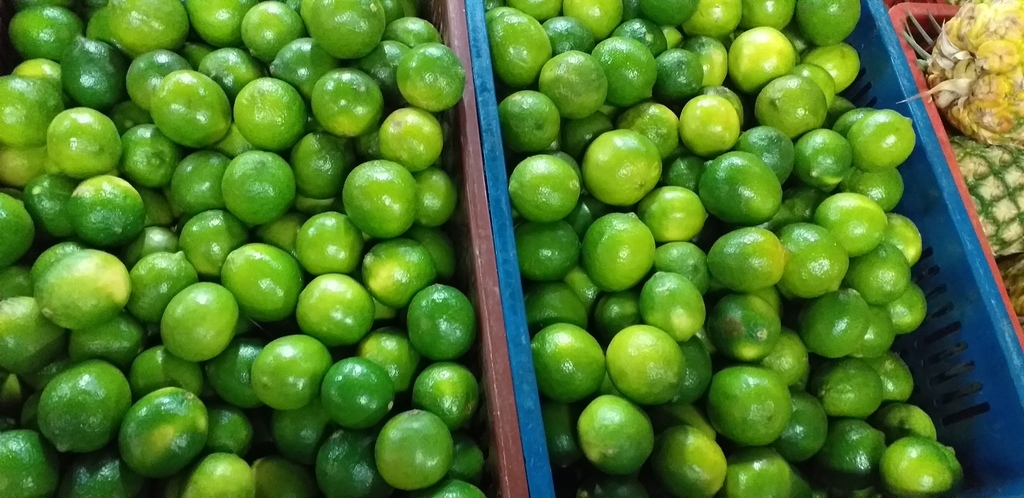 Limon tahiti