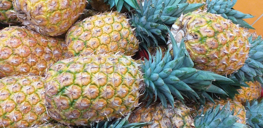 Piña oromiel
