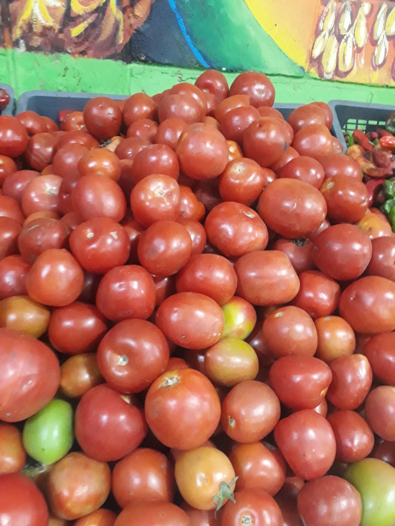 Tomate