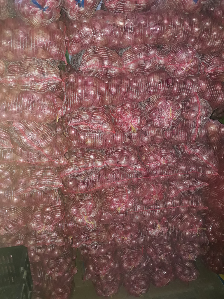 Cebolla roja ocañera