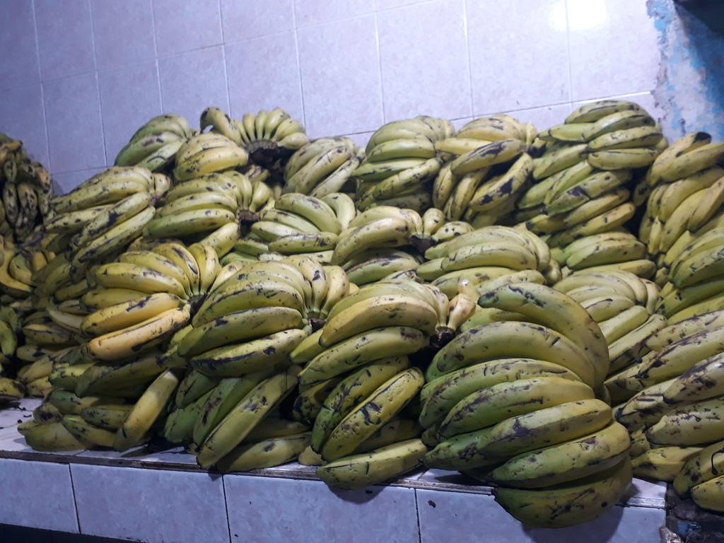 Banano maduro