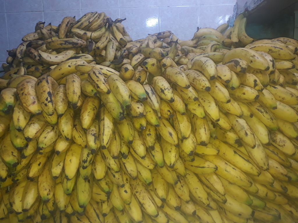 Banano amarillo
