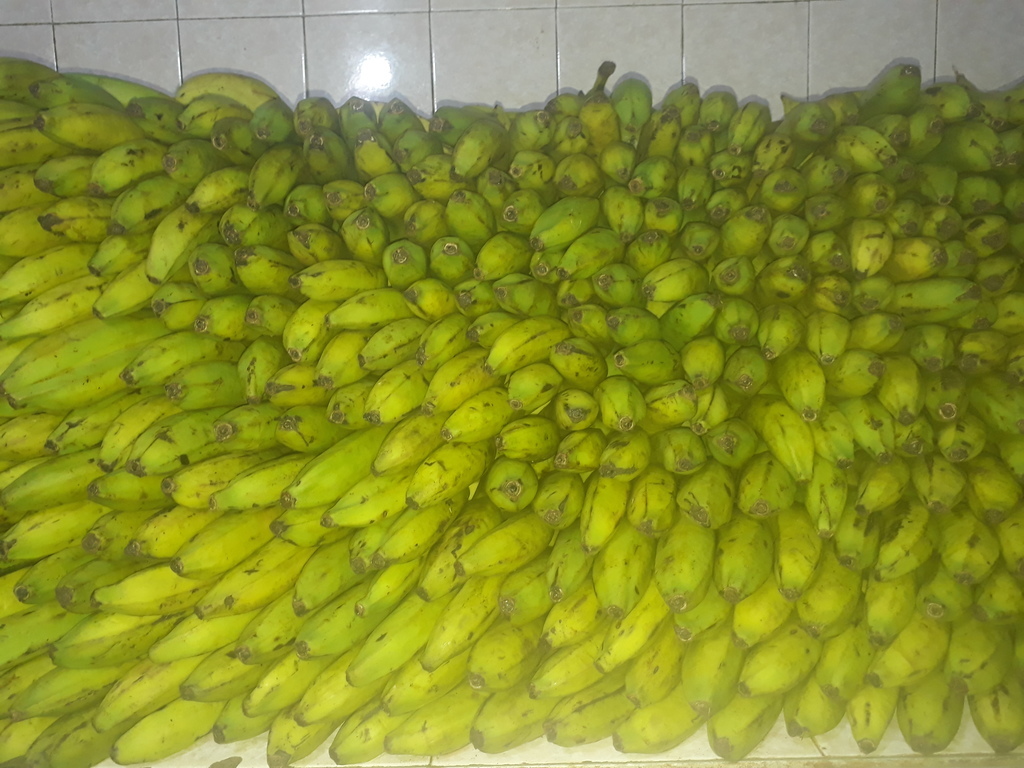 Banano verde
