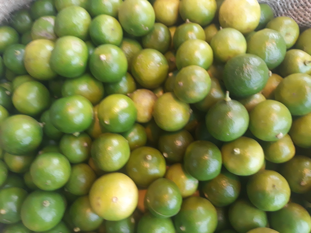 Limón