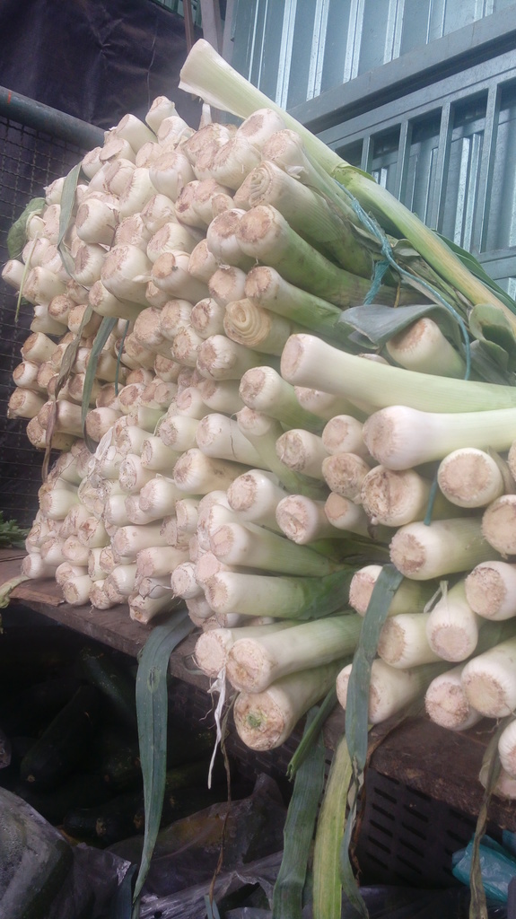 Cebolla puerro