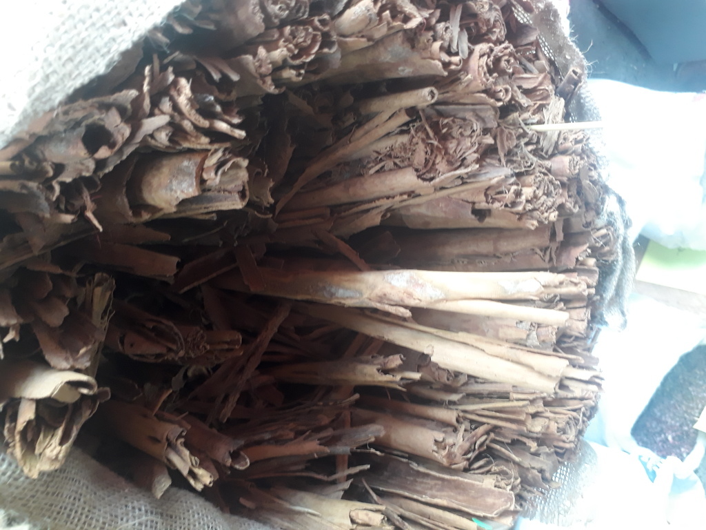 Canela