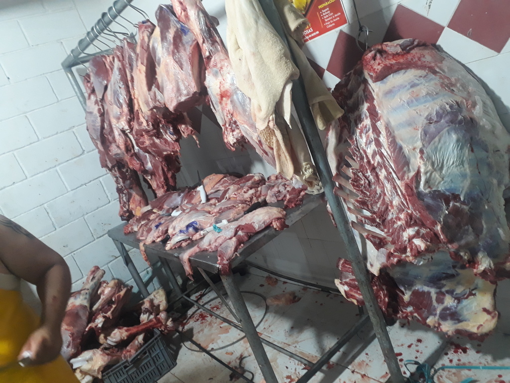 Carne de 1ra de res