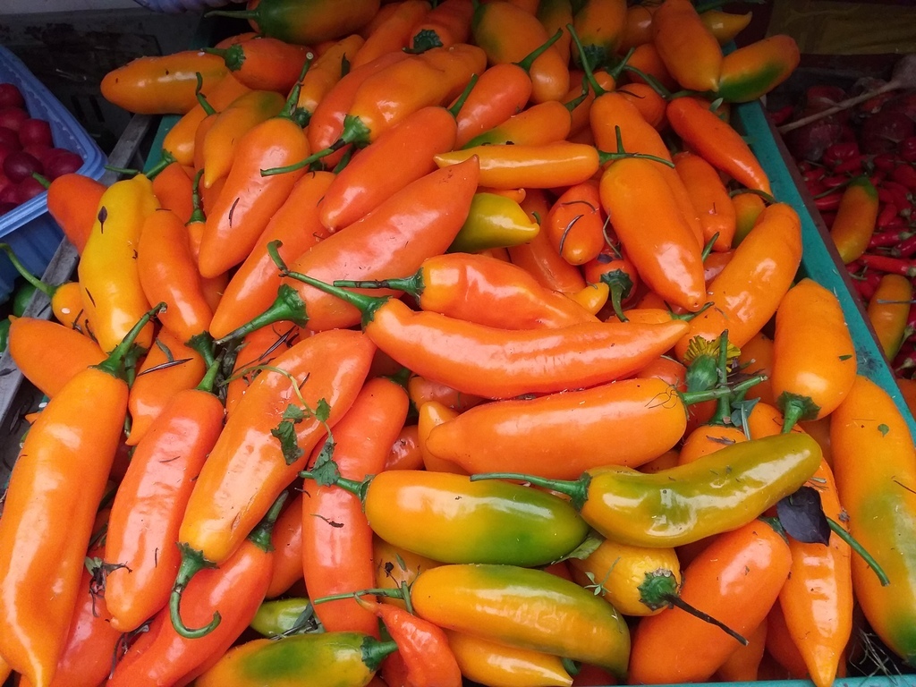 Aji referencia peruano