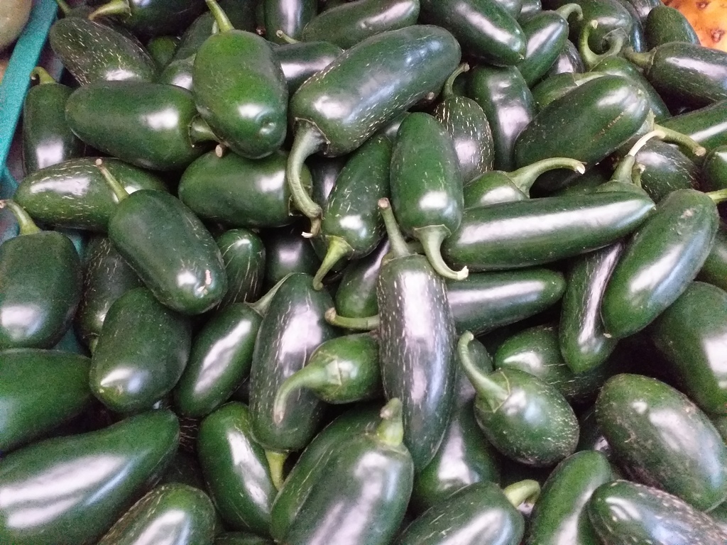 Aji jalapeño