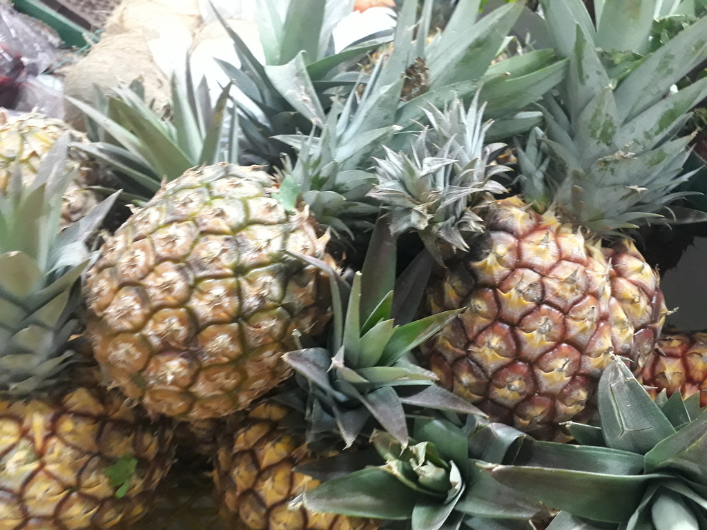 Piña