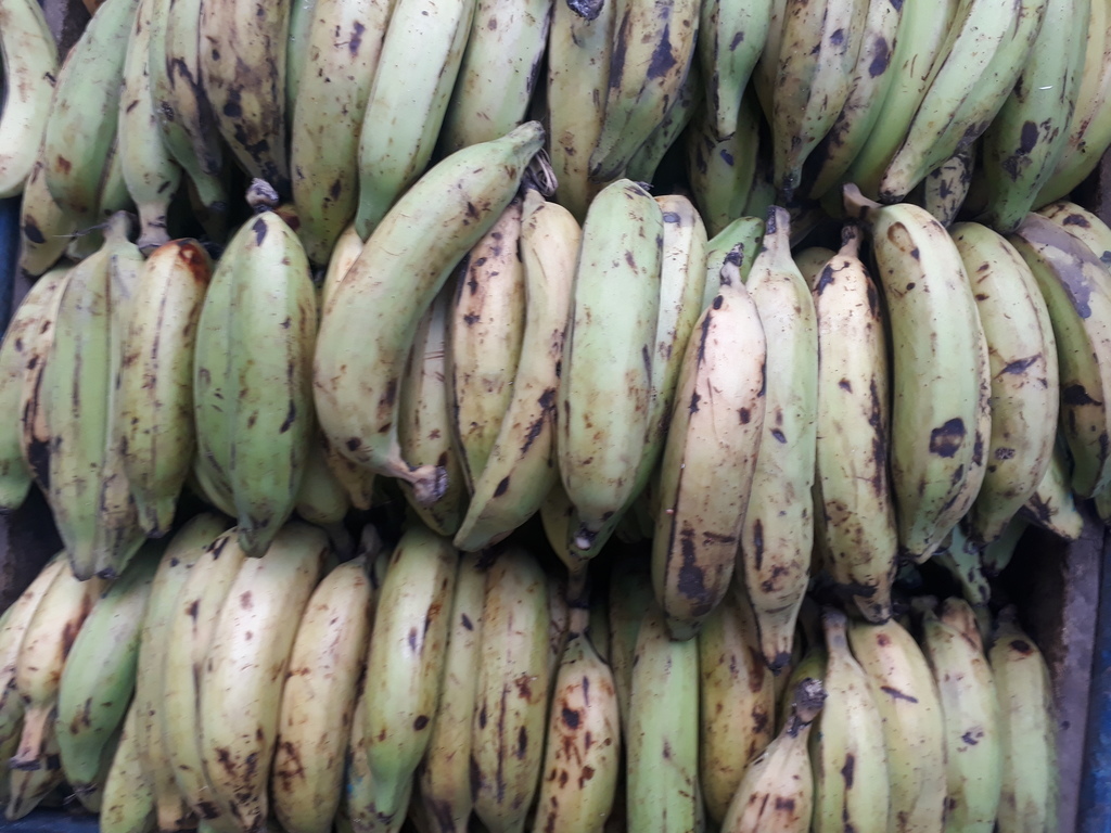 Platano verde de 1ra