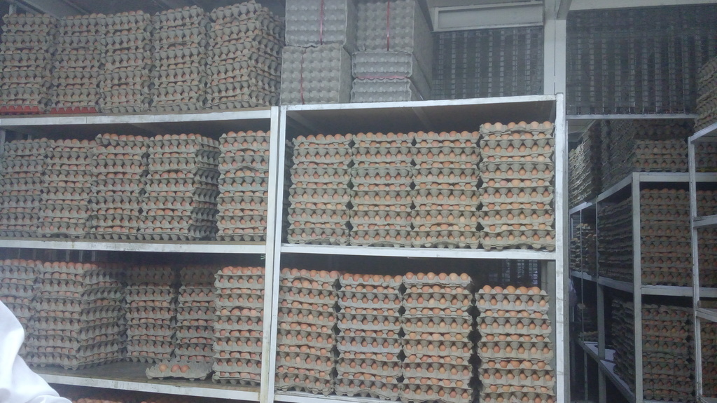 Huevos aa