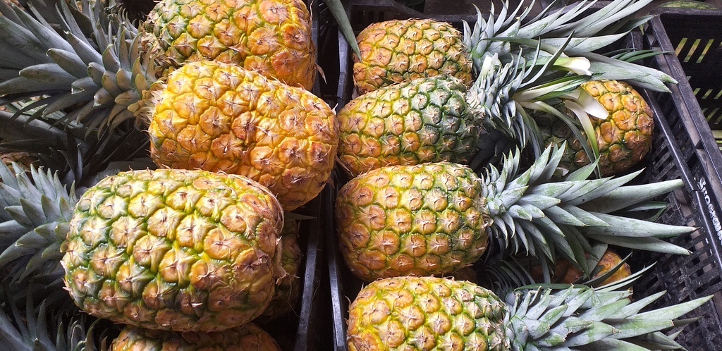 Piña oromiel