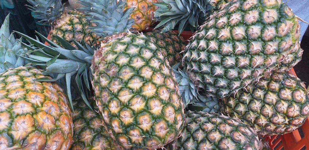 Piña oromiel