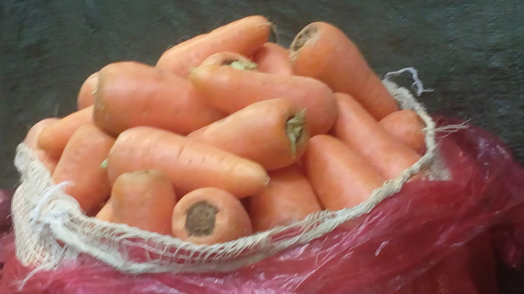 Zanahoria