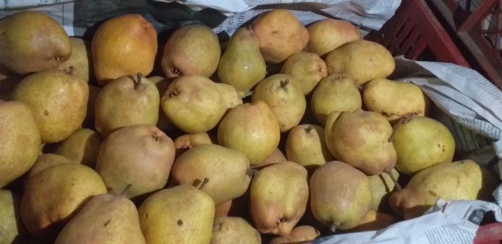 Pera criolla