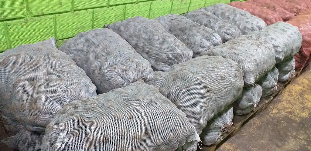Papa nariño x 50 kg