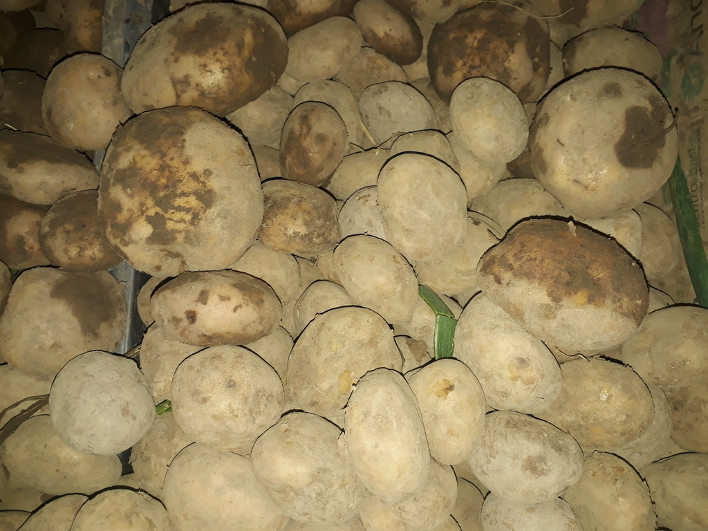 Guayaba dulce