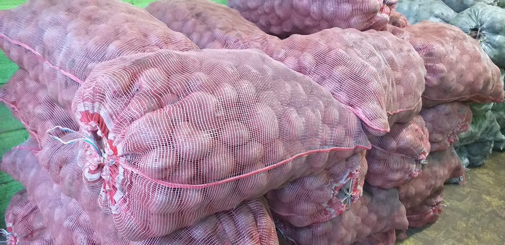 Papa rubi x 50 kg