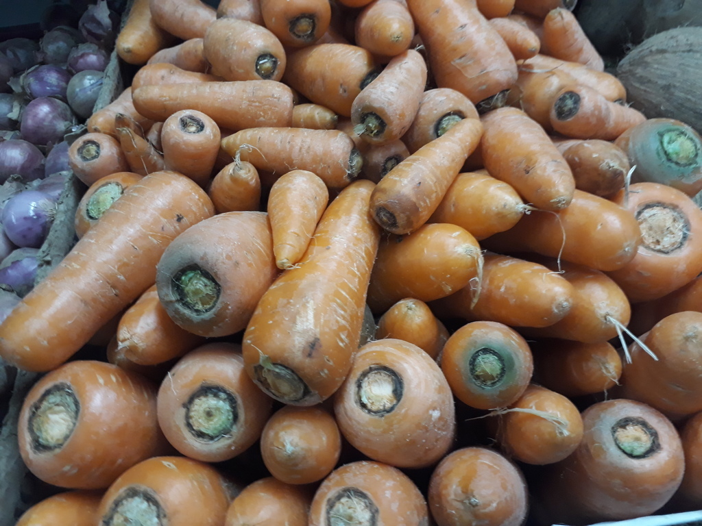 Zanahorias
