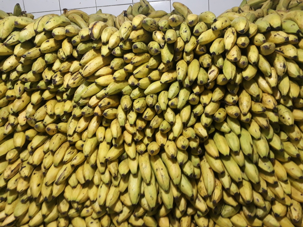 Banano maduro