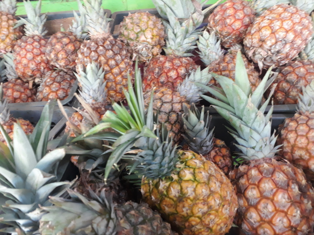 Piña