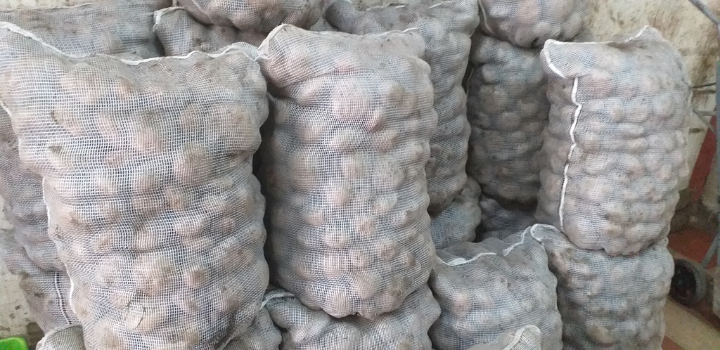 Papa pastusa x 50kg