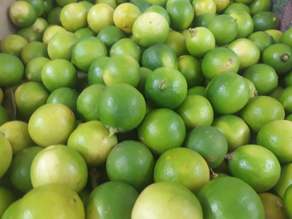 Limón
