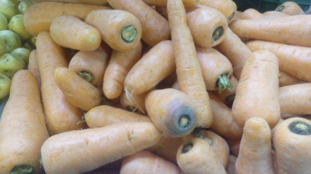Zanahorias