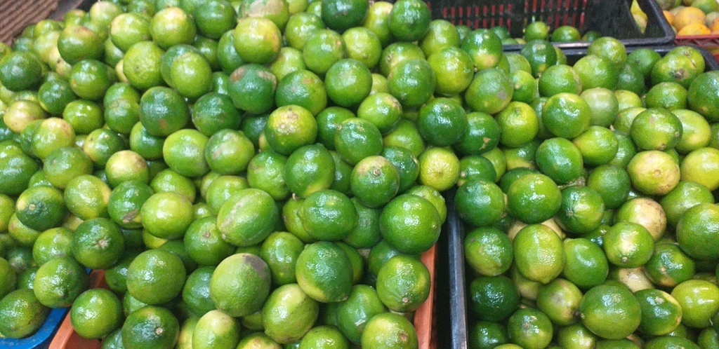 Limon tahiti
