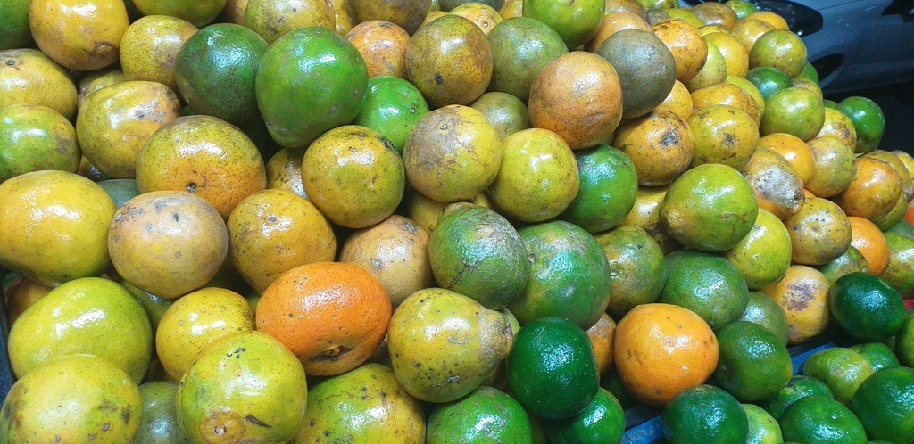Tangelo