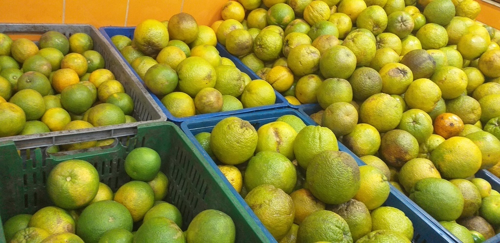 Naranja valencia