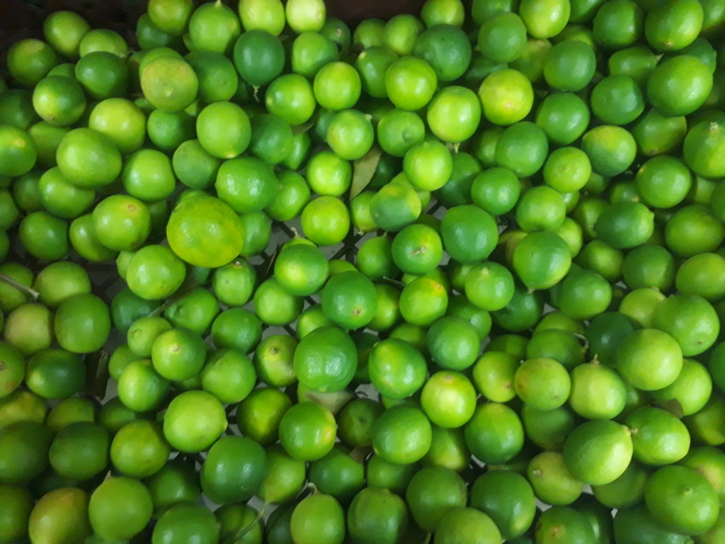 Limón
