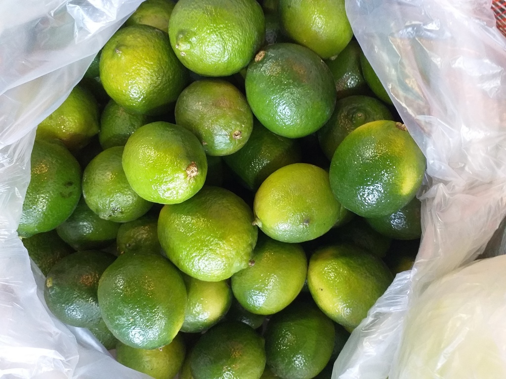 Limon tahiti