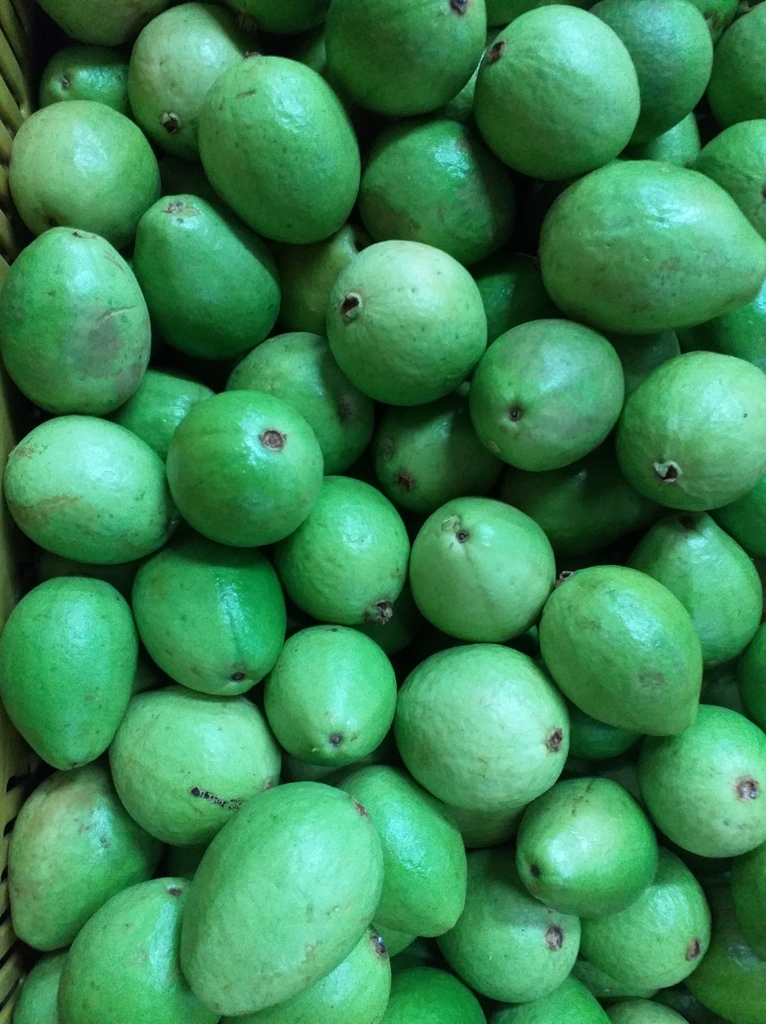 Guayaba gruesa