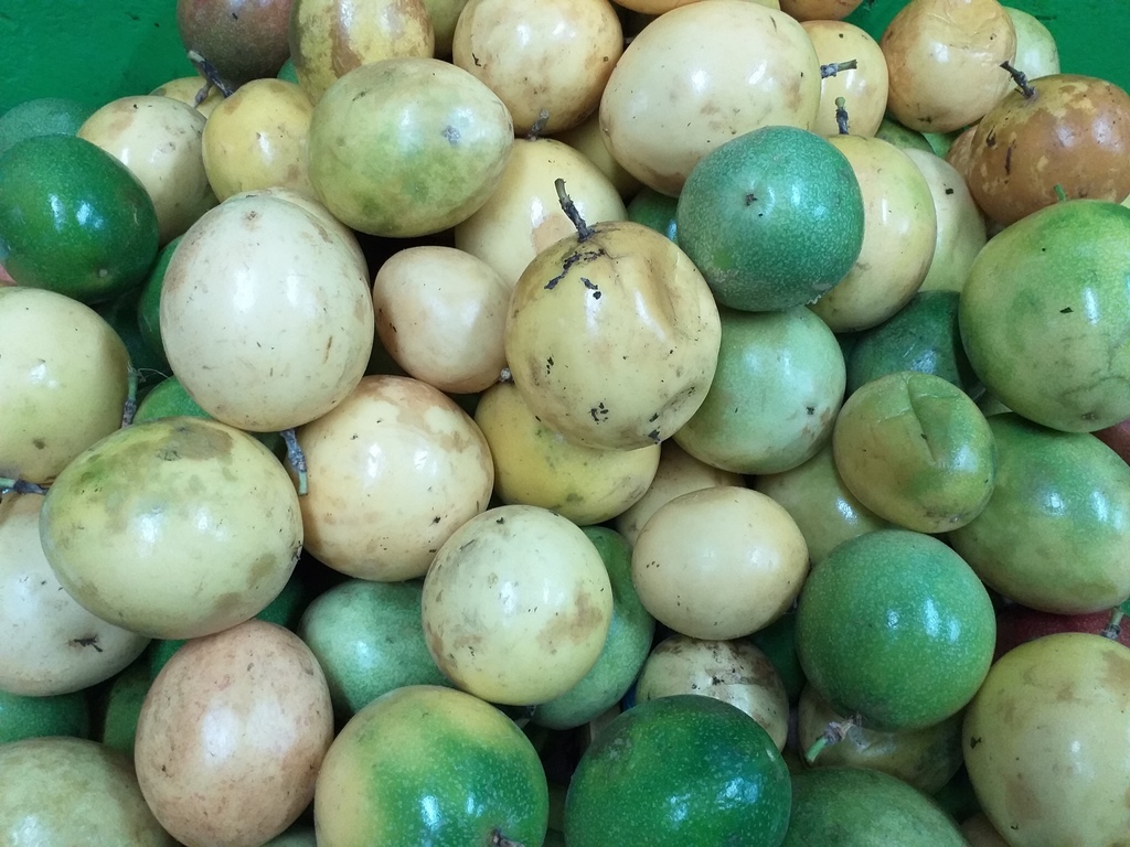 Maracuya