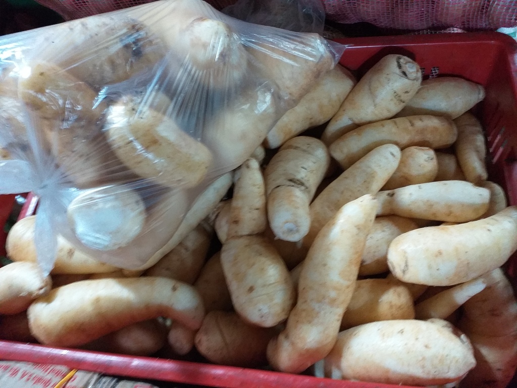 Arracacha selecionada