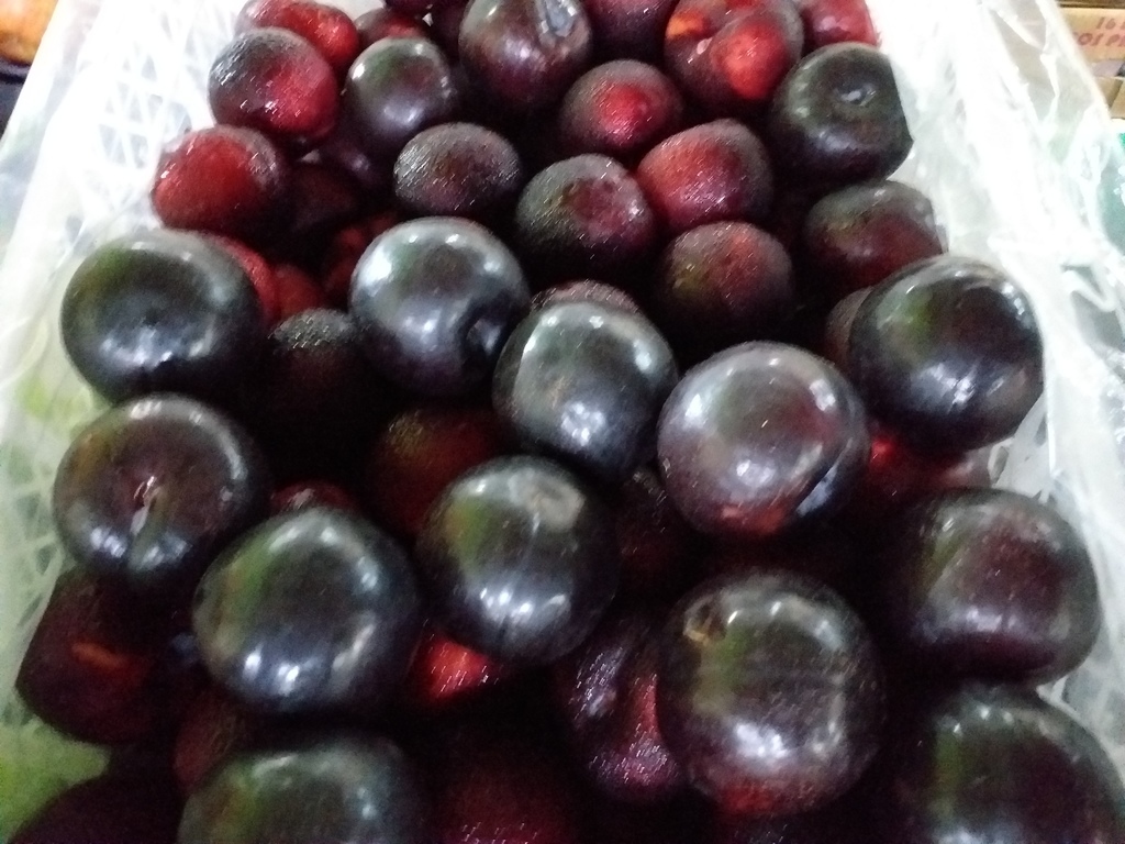 Ciruela chilena