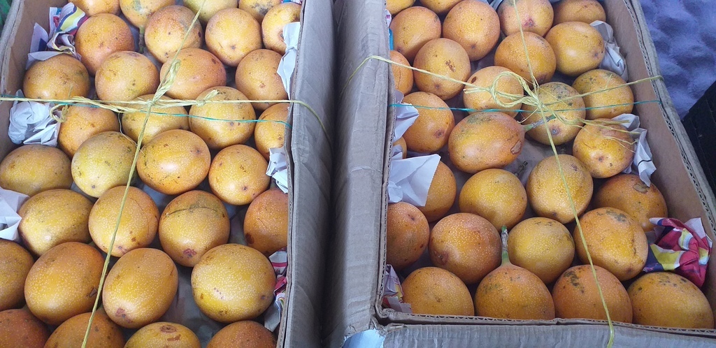 Granadilla selecta