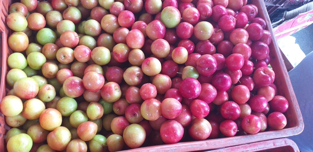 Ciruela