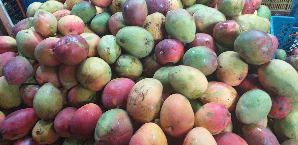 Mango farchi